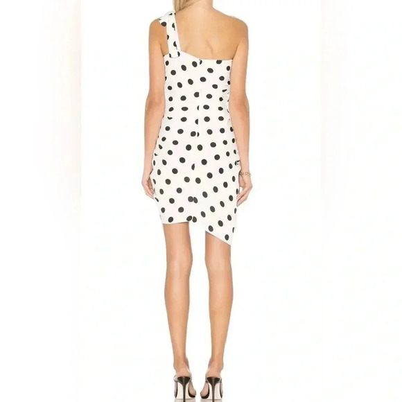 Lovers + Friends Monica Polka Dot Dress - Picture 5 of 6